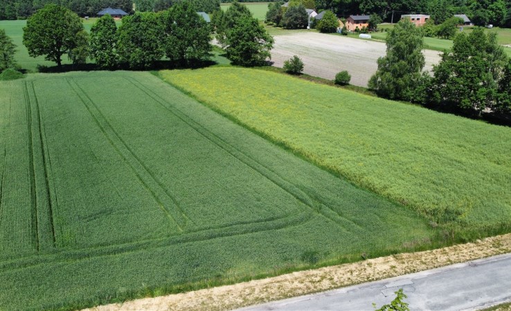 działka na sprzedaż - Pszczyna (gw), Ćwiklice, Kombatantów